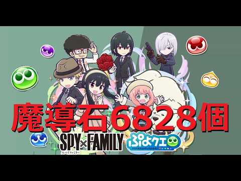 【ぷよぷよ‼クエスト(ぷよクエ)】SPY×FAMILYコラボで魔導石を使う前の確認点