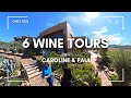 6 wine tours in chile  concha y toro maipo valley casablanca cousino macul