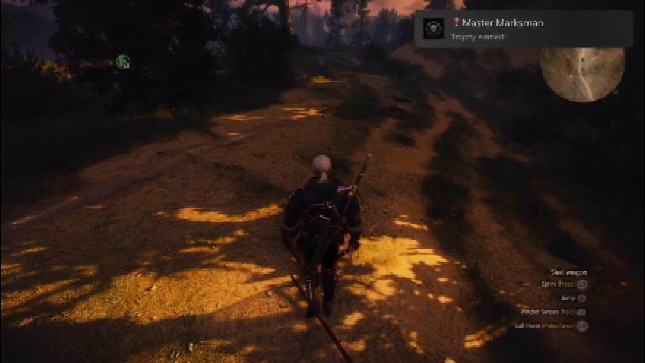 Witcher 3: Master Marksman Trophy (a mind numbing trophy)