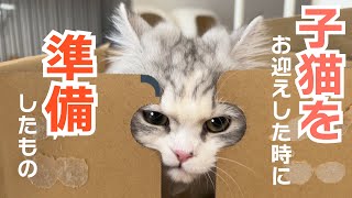 短足子猫をお迎えした時に準備したものをサクッと紹介！