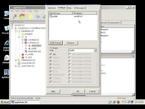 SettingDBPriviledges.avi