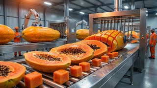 Inside a High-Tech Papaya Slice Factory | Automated Cutting, Washing & Packaging Net Worth