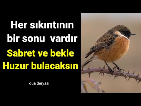 Her sıkıntının bir sonu  vardır Sabret ve bekle Huzur bulacaksın