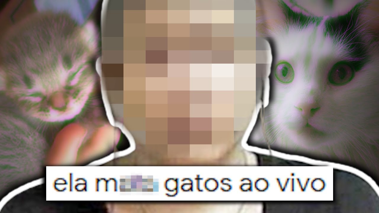 jogo do google do gato｜Pesquisa do TikTok