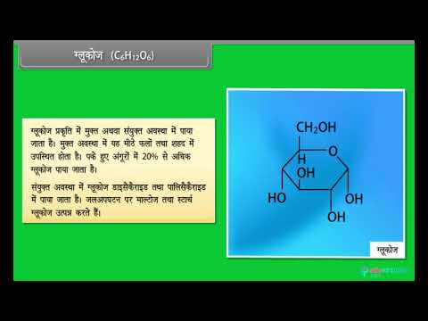 Hindi Medium | Class 12 | CBSE | Biology | Biomolecules | State Board | Science | Tutorial