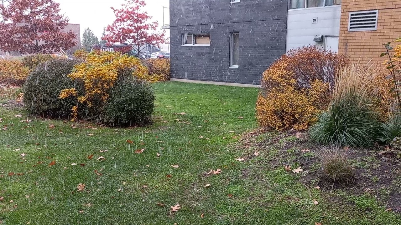 Montreal first snow november 2021