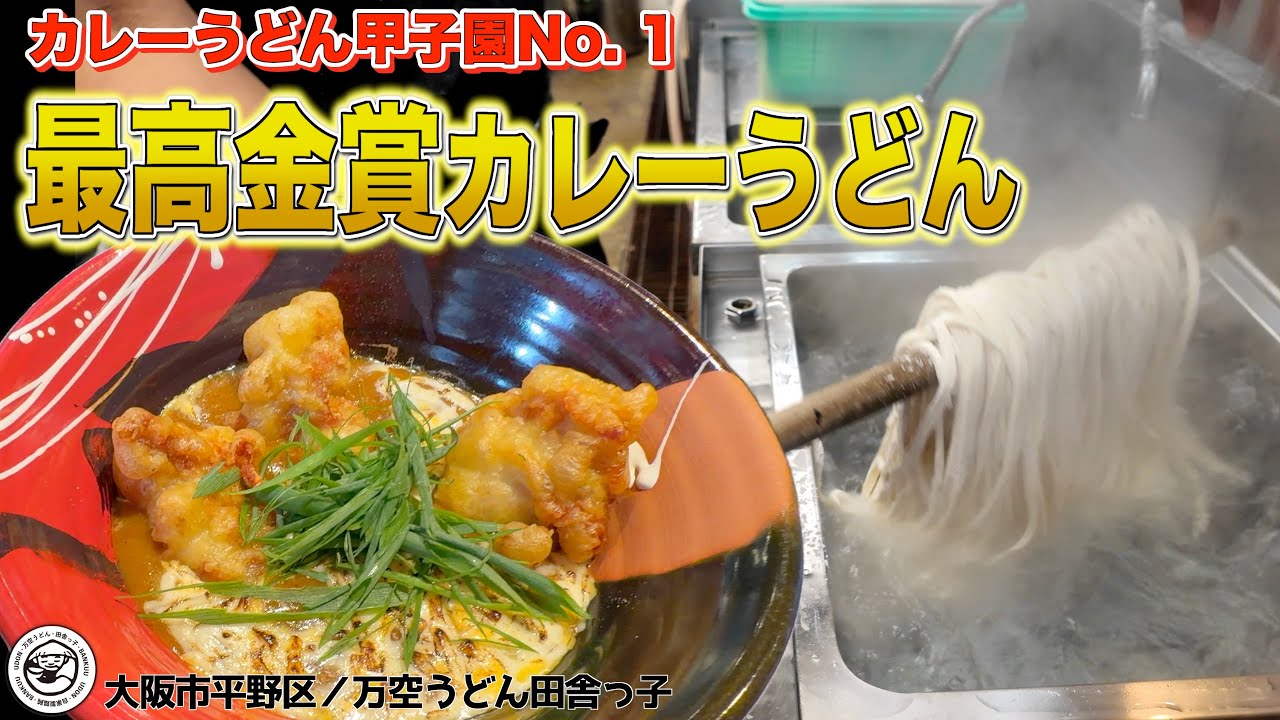 【平野区】カレーうどんファンが推した！西エリアNo. 1の最高金賞の味【喜連瓜破】