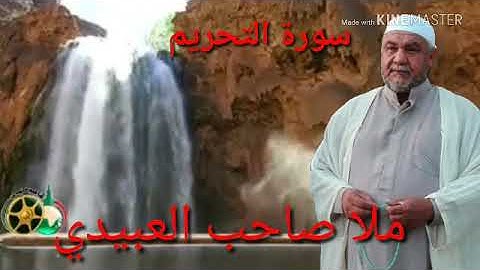 سورة التحريم =هديتى الى ارواح امواتكم اخوانى واخواتى الاطهار=ملا صاحب العبيدى