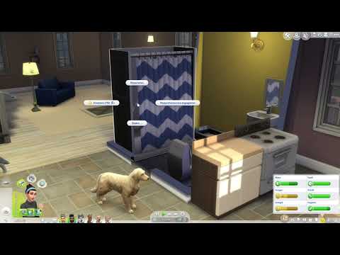 endlich-zurück-#27-die-sims-4---hunde-und-katzen---let