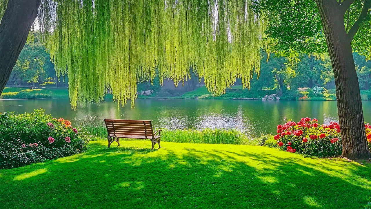 Watch Music Therapy for Anxiety Relief - Stop Overthinking • Reduce • Stress • Relax Deeply on YouTube Watch Music Therapy for Anxiety Relief - Stop Overthinking • Reduce • Stress • Relax Deeply on YouTube