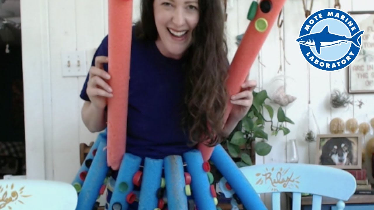 ArtSea with Mote | Squid Skirt