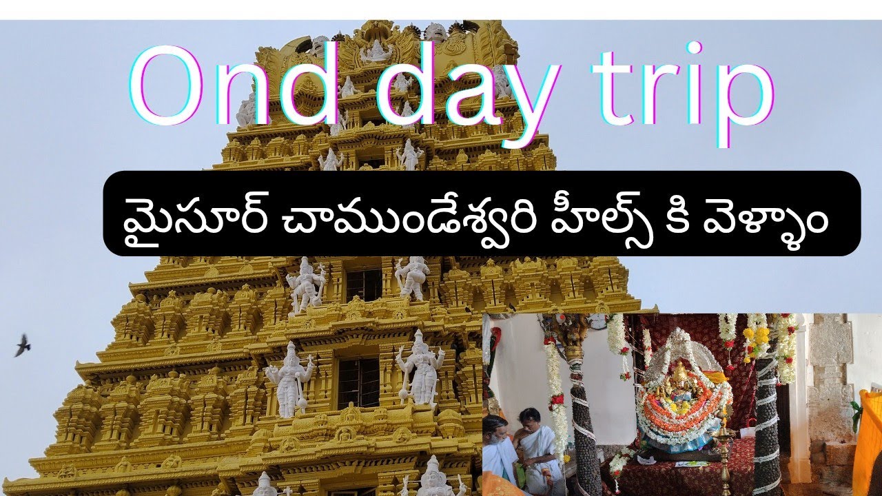One day trip # Mysore chamundeswari hills #మెము మైసూర్ చాముండేశ్వరి కొండకి వెళ్ళాం 