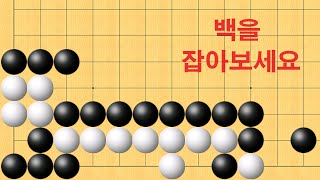 바둑 묘수 사활 - 감탄이 절로 나오는 묘수가 나옵니다. 백을 잡아보세요