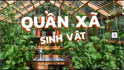 Quần xã sinh vật là gì năm 2024