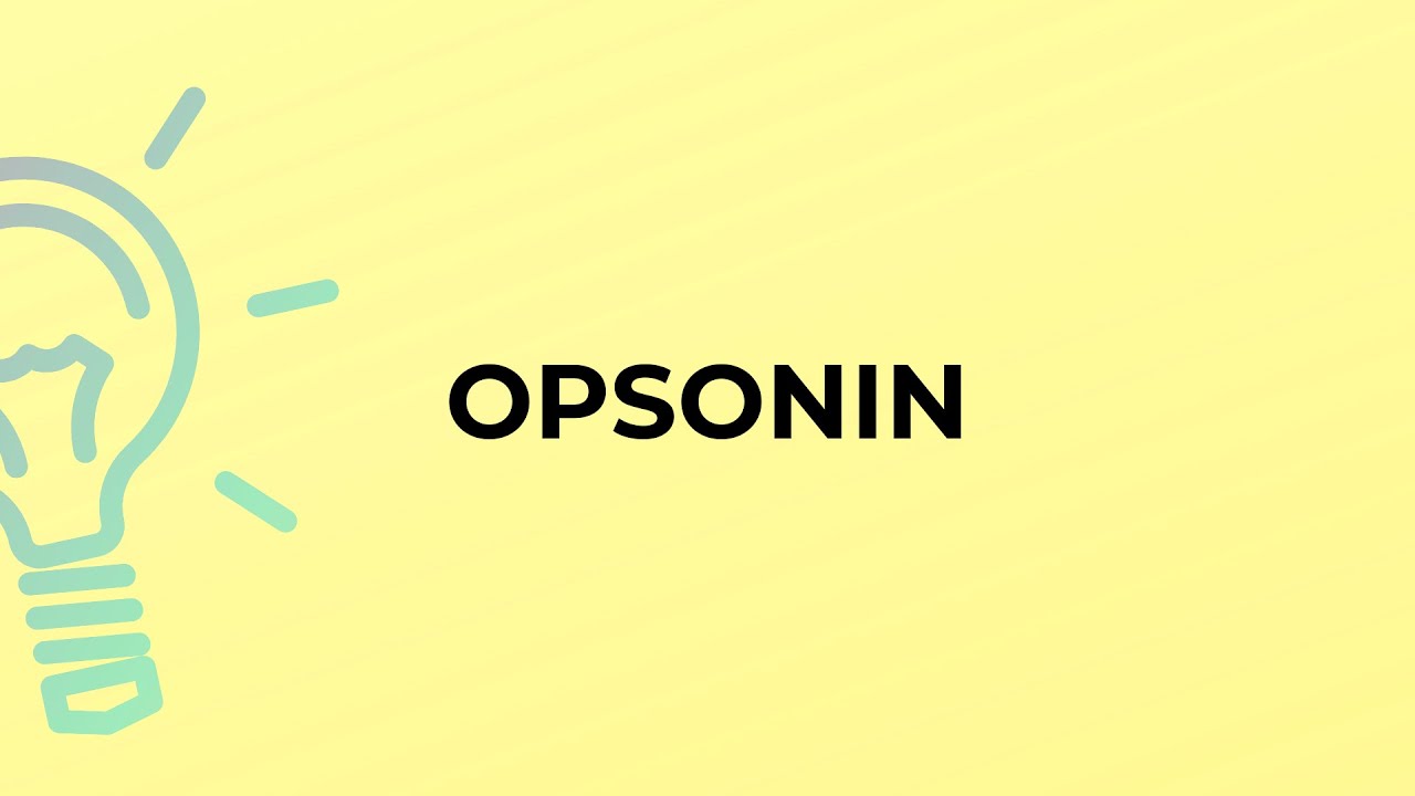 De unde vine cuvântul opsonin?