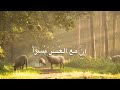 surah alam nashrah | Surah al inshirah (Quran recitation)beautiful voice