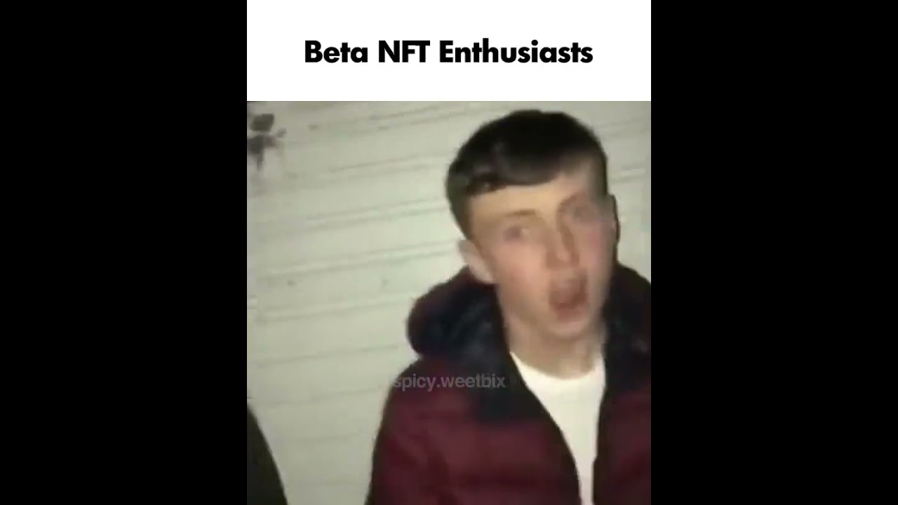 beta NFT enthusiasts vs sigma screenshot enjoyers