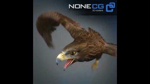 Animated Golden Eagle 3D model from CGTrader.com
