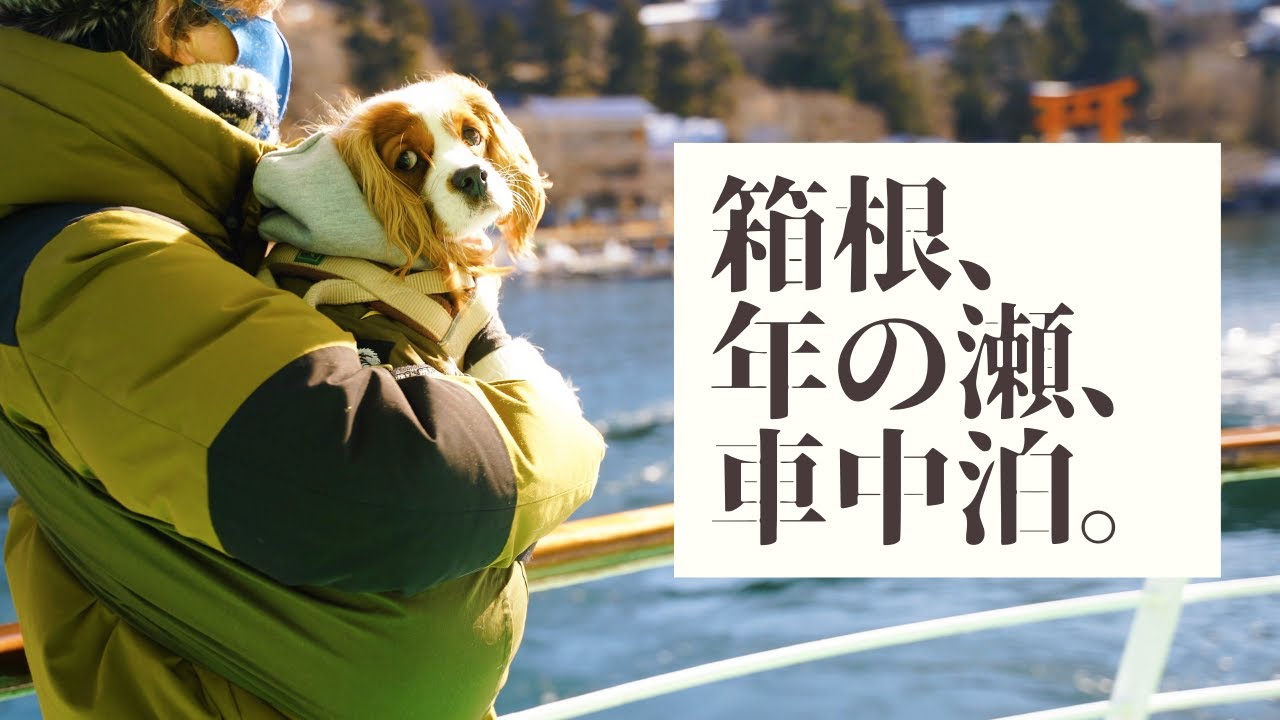 犬とキャンピングカー車中泊旅行 車中泊で 年の瀬の箱根をゆっくり散歩 キャバリア Youtube 犬とキャンピングカー車中泊旅行 車中泊で 年の瀬の箱根をゆっくり散歩 キャバリア Youtube