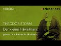 Theodor Storm: Der kleine Häwelmann | HÖRBUCH | AUDIOBOOK