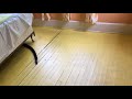 Paint Wood Floors Yellow Part 2 Paint Wood Floors Yellow Part 2