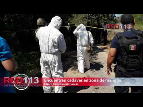 VIDEO Cadáver con signos de violencia es hallado en los manglares cerca del Boulevard Costero en LC