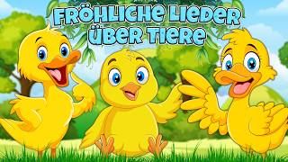 Fröhliche Lieder über Tiere 🐾 Hopsi Wopsi Kinder