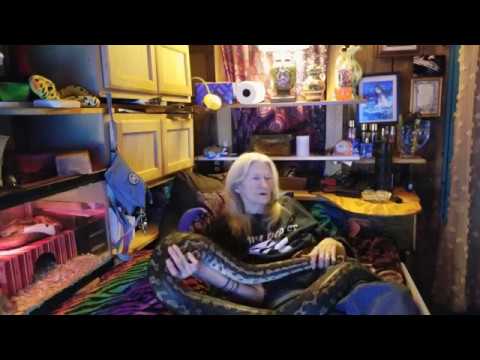 pythons for sale How Things End