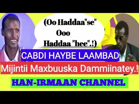 CABDI HAYBE LAAMBAD - OO LA XIDHEY - MAXAA LAGU SII DAAYEY?