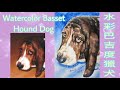 How to Paint a Realistic Basset Hound Dog in Watercolor - 水彩巴吉度獵犬 -  Faber Castell  -  輝柏固體水彩