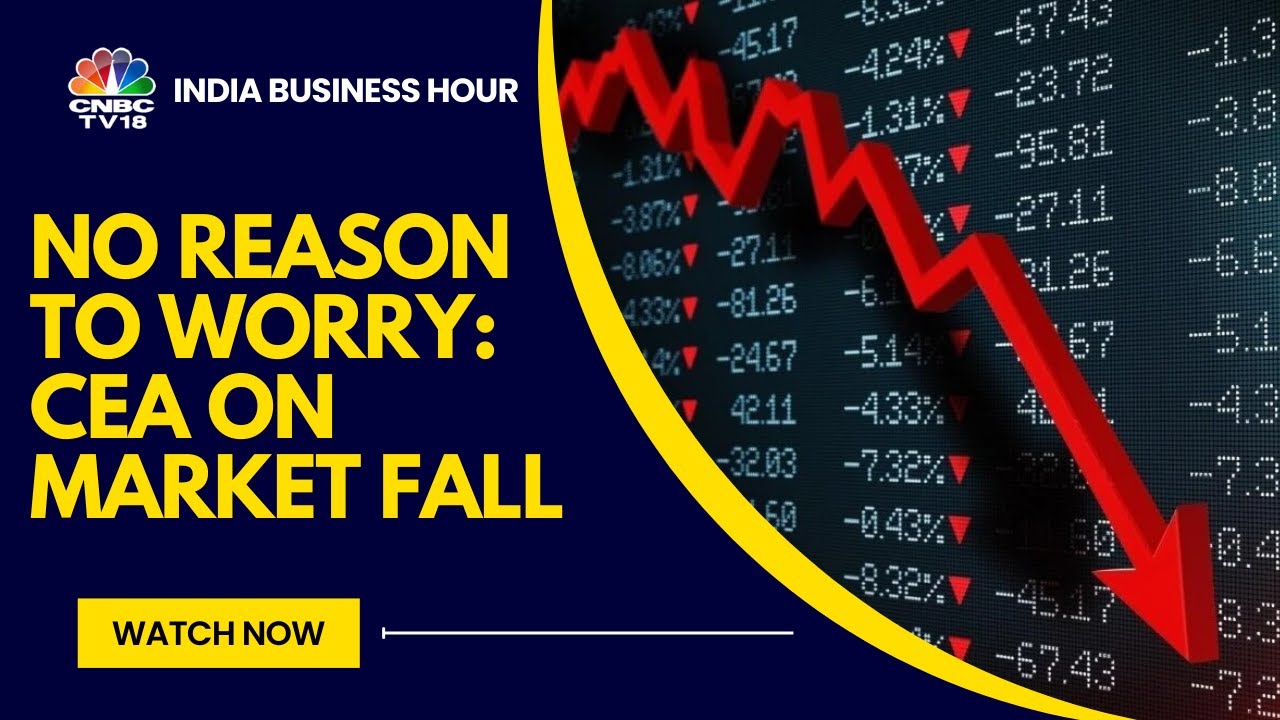 Parabolic gains of Jul-Oct 2024 now being unwound in equities: CEA on  Friday’s market crash