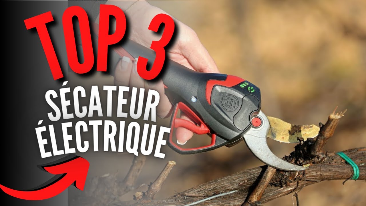 Sécateur électrique vigne : Guide d'achat de 2024