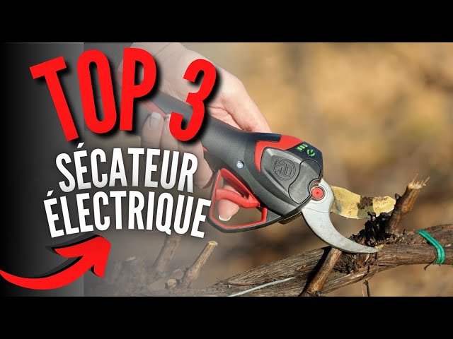 Meilleur secateur electrique sans fil - Comparez les prix et achetez sur