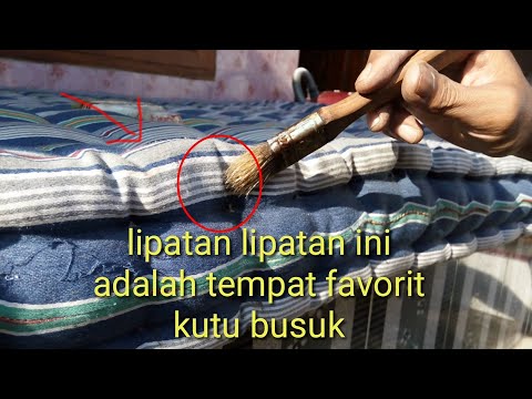 Video: Rawatan Kutu Busuk Dengan Kabut: Membunuh Kutu Busuk Dengan Kabut Sejuk Dan Panas. Mana Yang Lebih Baik? Apa Ini? Ulasan Pengguna