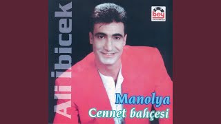 Cennet Bahçesi - Ali İbicek