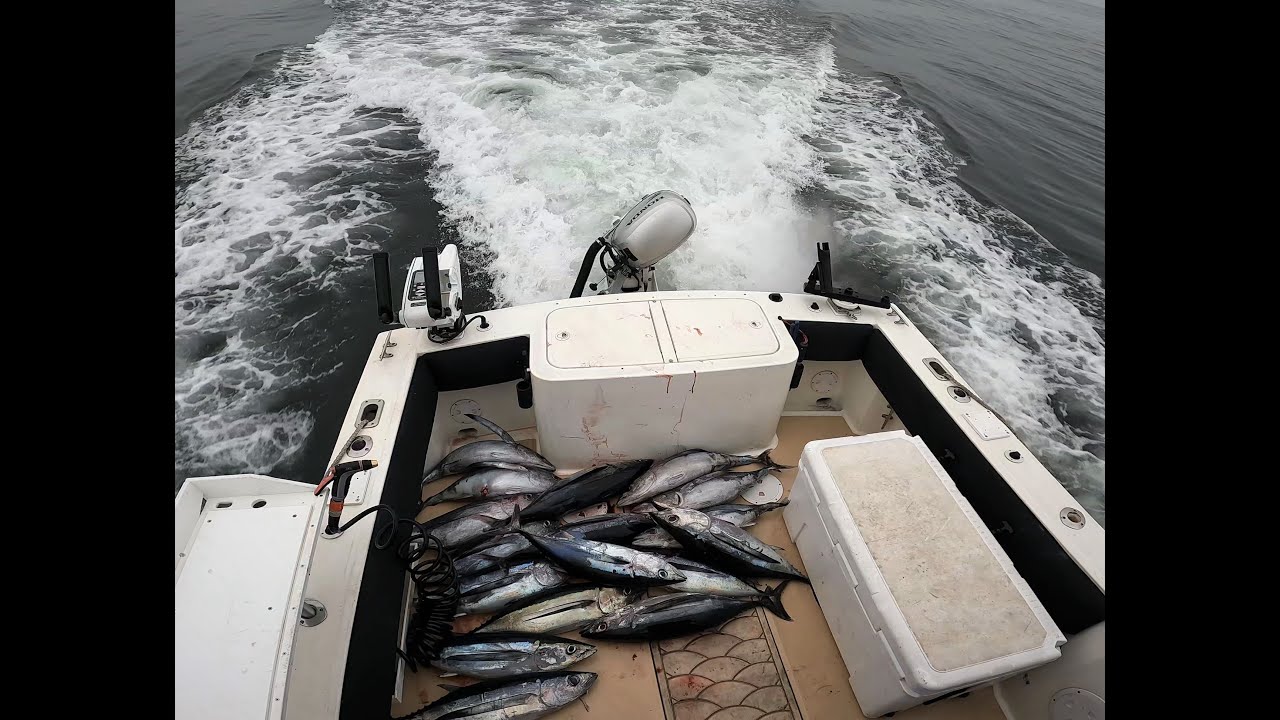 Ilwaco 2022 Tuna Trip from Helm Camera YouTube