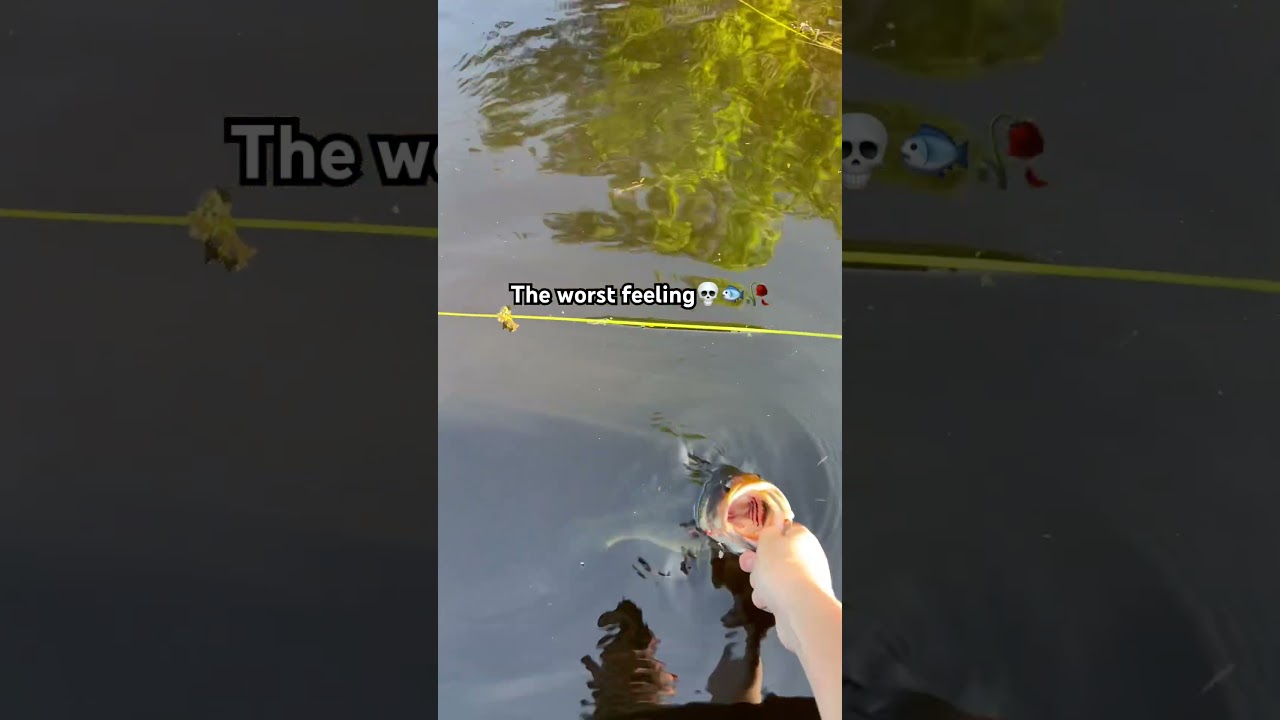 The worst feeling while fishing 🎣 