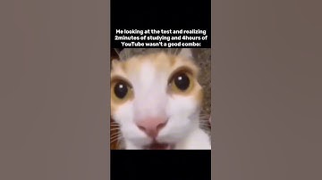 Me realizing I get cooked by first question😭 #cat #meme #funny