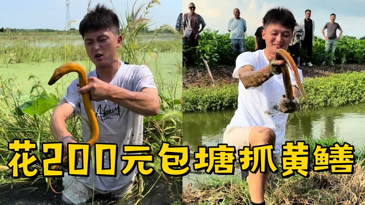 水猴子花200元包塘抓黄鳝，这不得给年轻的老板好好上一课！