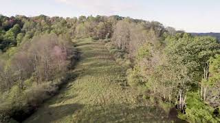 Absolute 204 +/- Acre Lewis County Farm & Prime Hunting Land