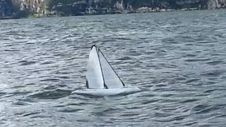 DF95 C-Rig Lake Garda dragonflite95