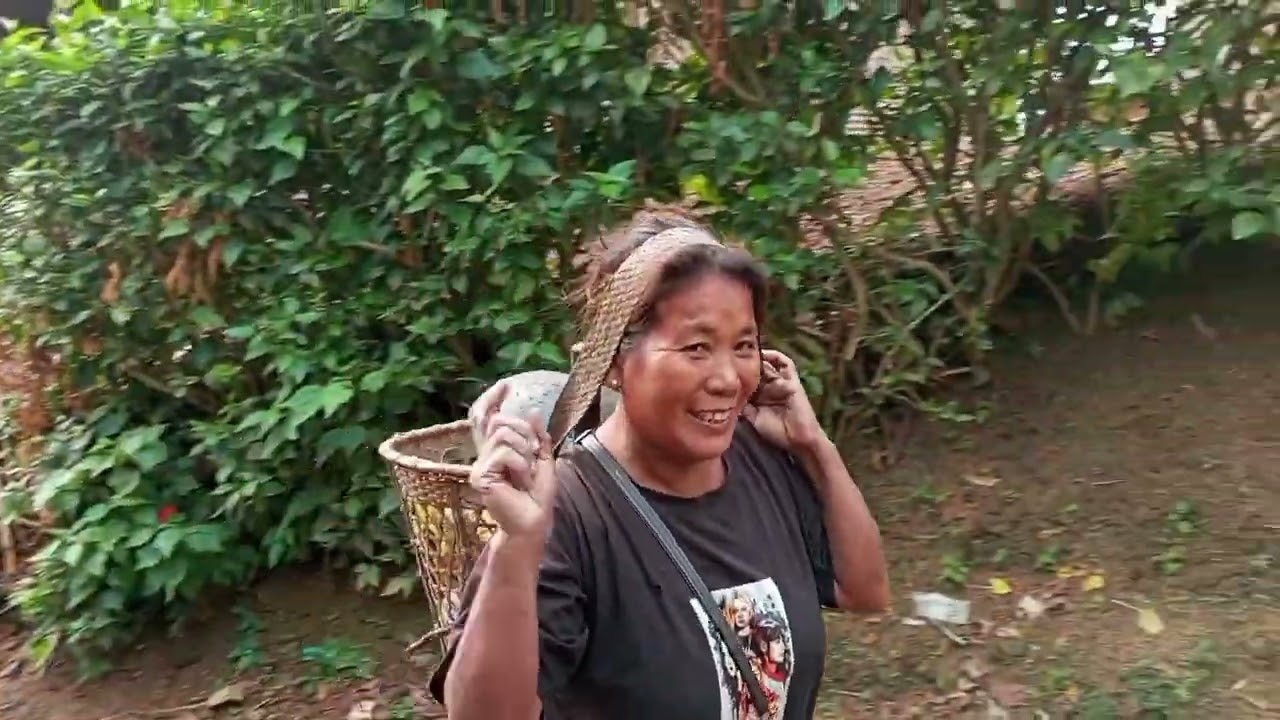 collecting green vegetables this morning 🌄