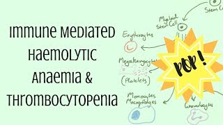 Immune Mediated Haemolytic Anaemia & Thrombocytopenia