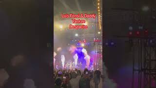 🔥 Despacito Live – Luis Fonsi x Daddy Yankee 🎶 #LatinHits #LiveMusic #ConcertVibes #Shorts #viral
