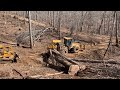 Raining hardwood! Logging Eastern Kentucky