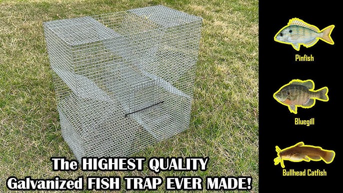 Pinfish Trap - Overview of the Clover and Rectangular Style Pinfish Traps 