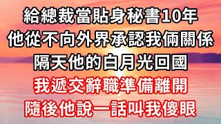 #路秘書辭職后四給總裁當貼身秘書10年他從不向外界承認我倆的關係隔天他的白月光回國我遞交辭職後離開隨後他說一話叫我傻眼#心靈回收站#心靈回收站 #心靈 #情感故事