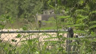 'I want the stench to stop:' Woman says an odor has invaded their part of St. Augustine