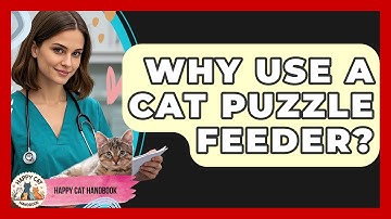 Why Use A Cat Puzzle Feeder? - Happy Cat Handbook