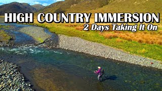 High Country Immersion  Fly Fishing Brown Trout in a GinClear Mountain River ~ Part 1